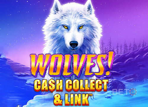Wolves! Cash Collect & Link