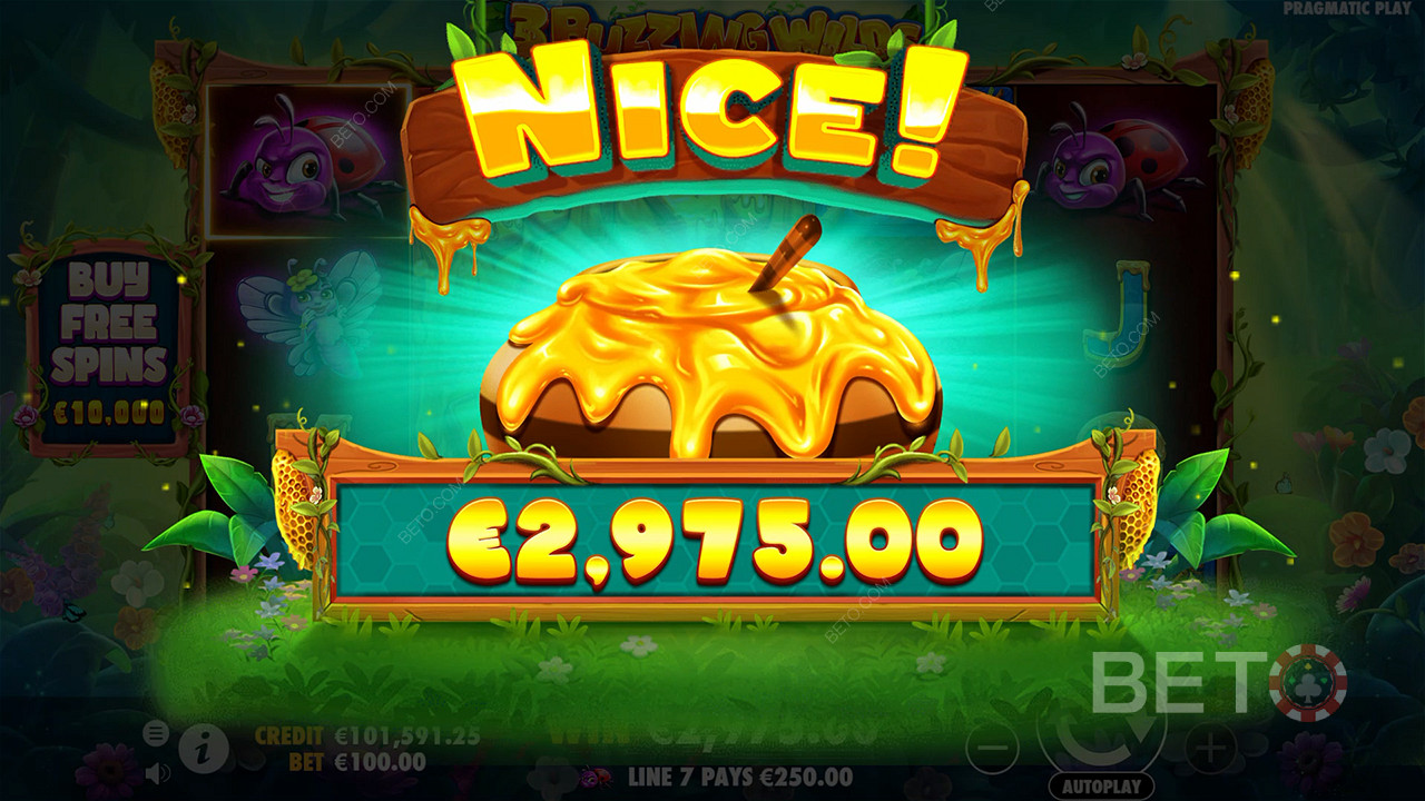Võida 5,000x oma panus 3 Buzzing Wilds Slot Online!