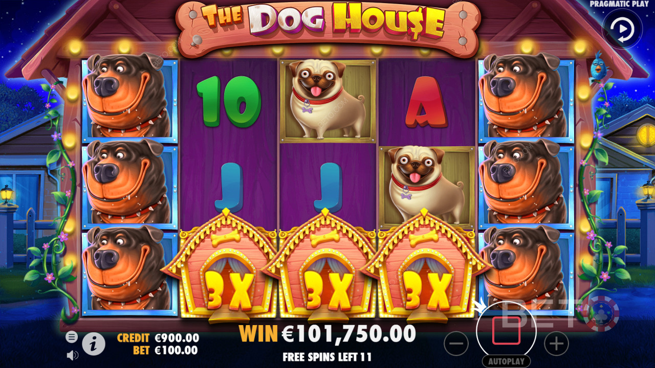 Kõrgepalgalise kombinatsiooni maandamine rullikutel mängides The Dog House