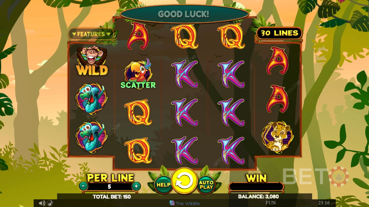 Wacky Monkey Review by BETO Slots
