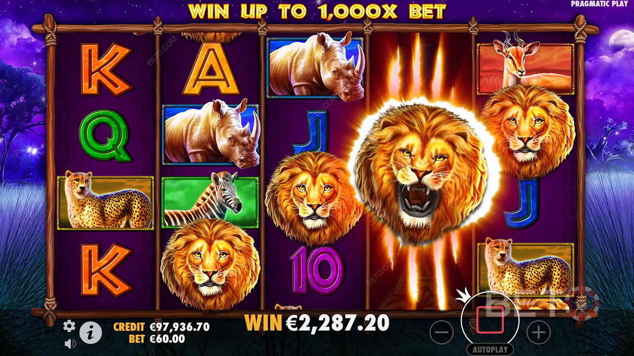 Safari King (Pragmatic Play)  Mängi Tasuta