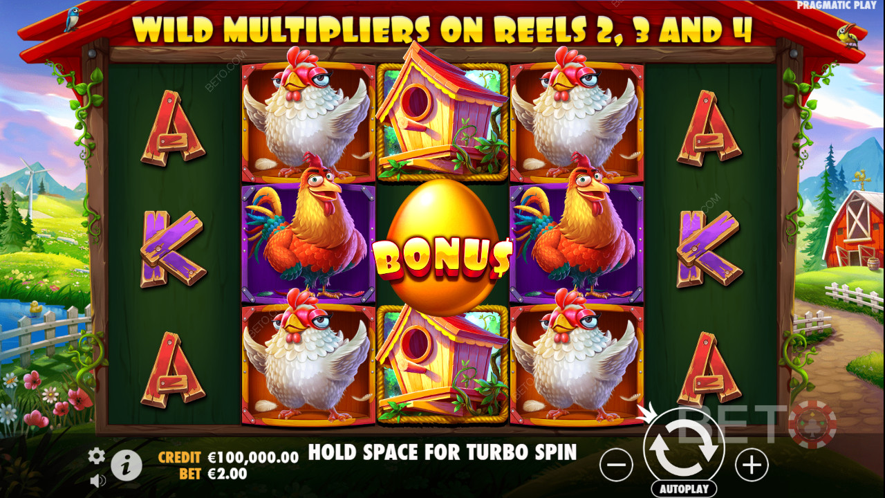 Tweety House Slot - Meie otsus