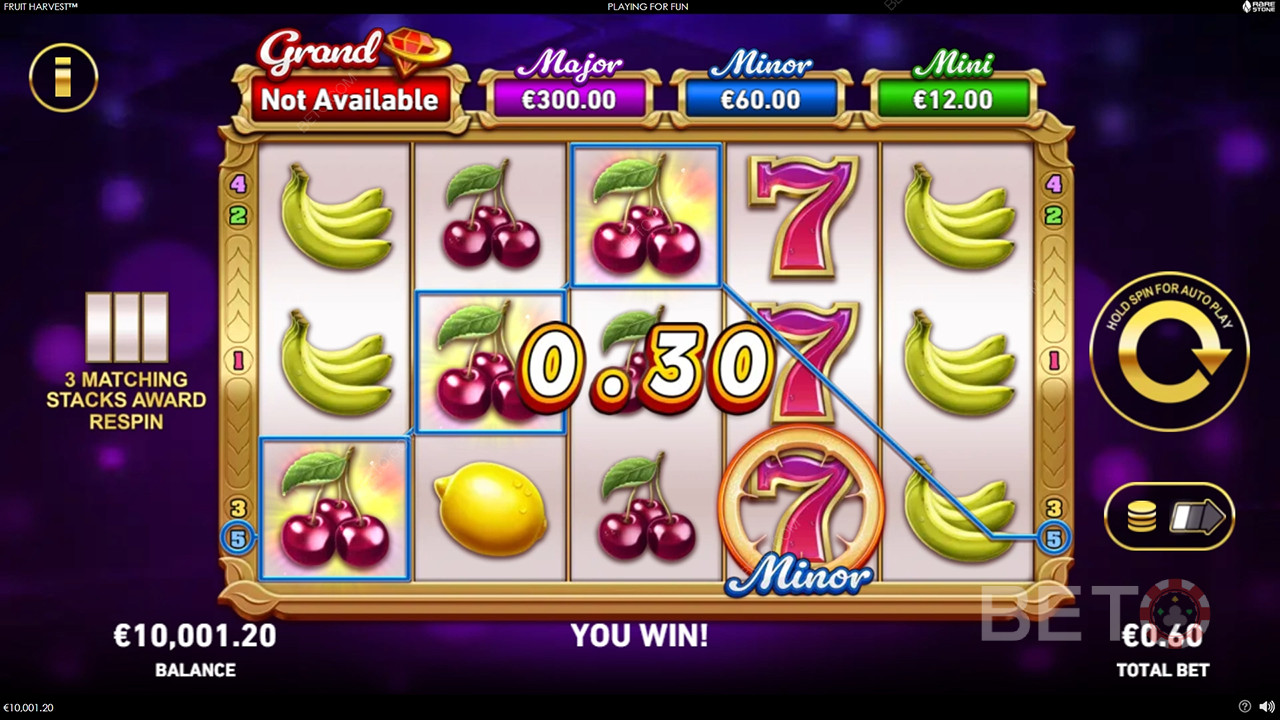 Puuviljasaak: A Slot Worth Spinning?