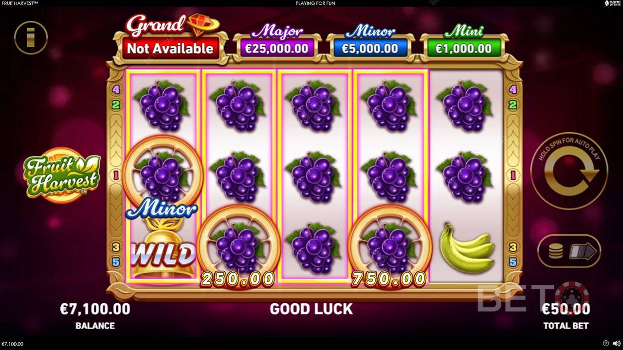Boonusfunktsioonid, mida selgitab Fruit Harvest poolt Rarestone Gaming