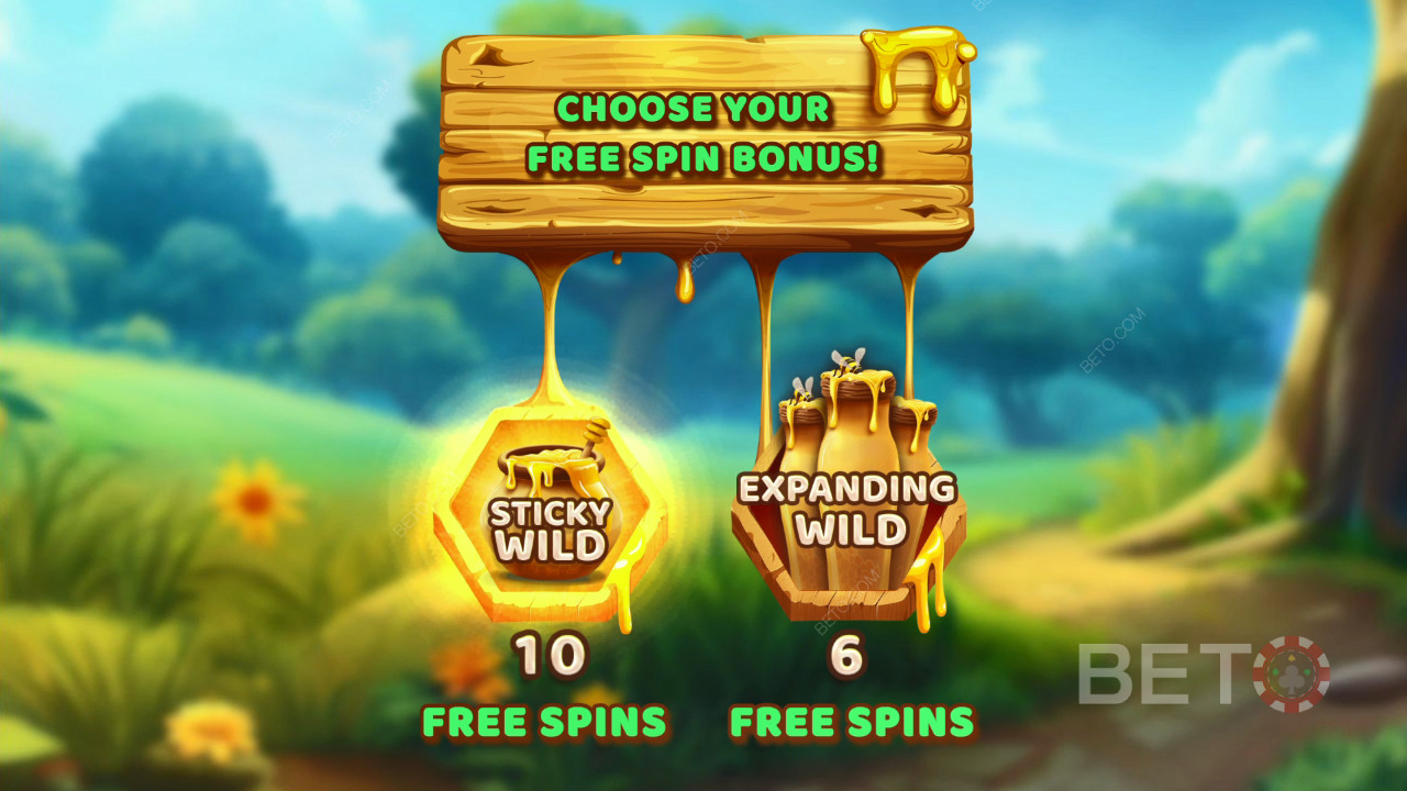 Teema ja kujundus: Mesilaste seiklusküsimus: Bee Adventure Quest