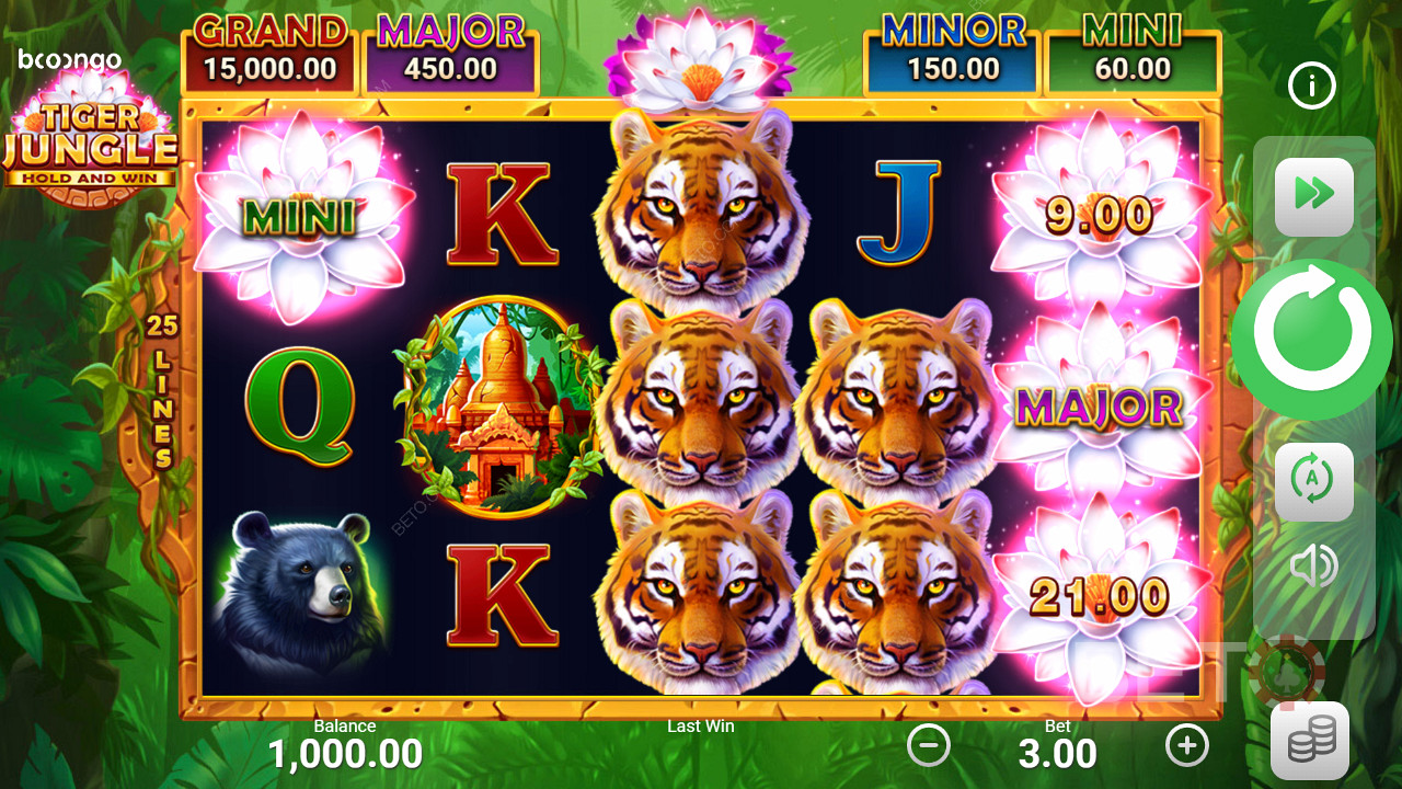 Maandage jackpotid sellistes teenindusaegades nagu Tiger Jungle Hold and Win