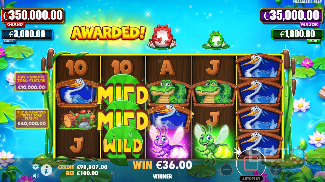 Tiny Toads Review by BETO Slots