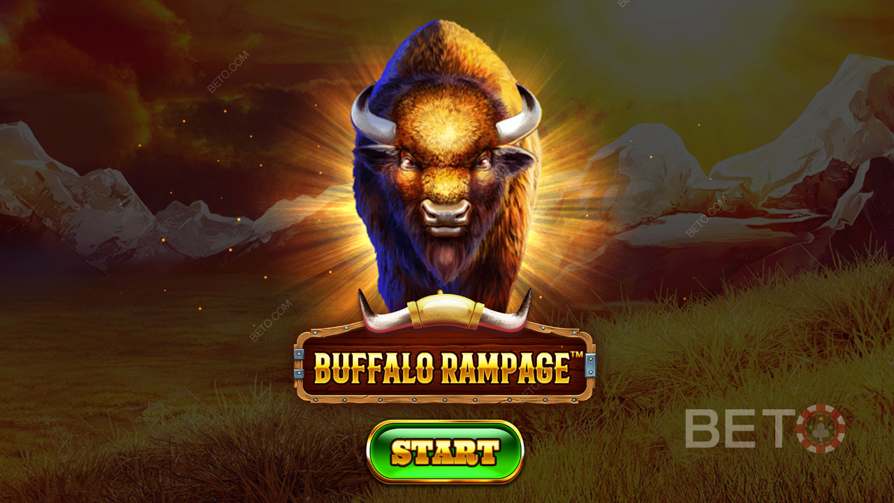 Rända Buffalo Rampage