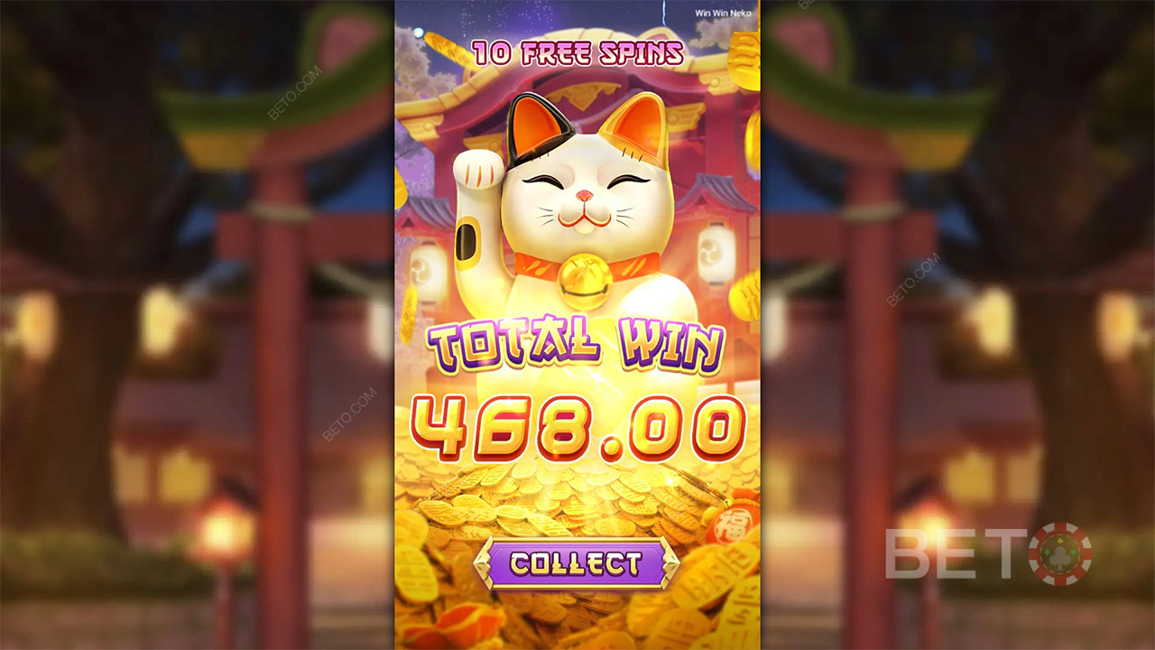 Win Win Neko - jah või ei