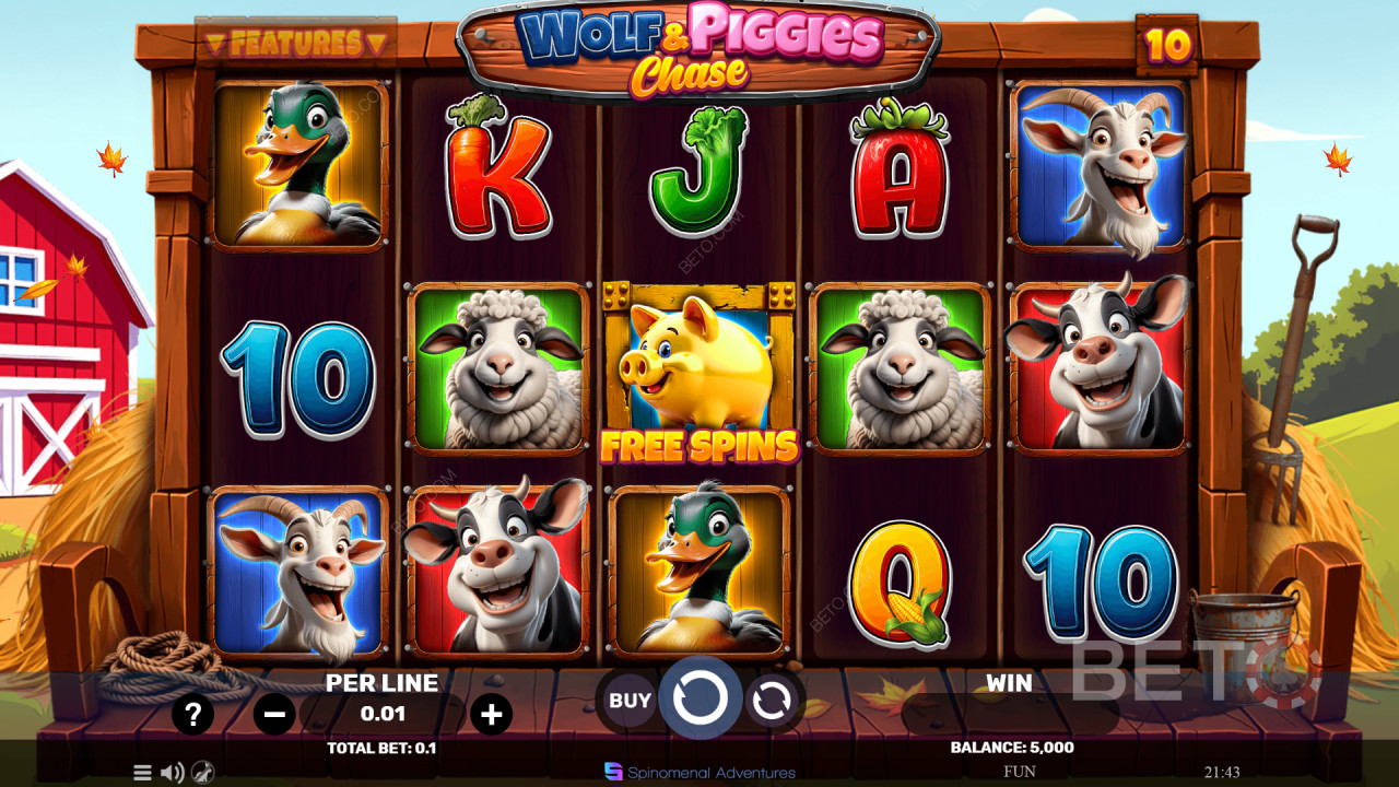 Kas Wolf & Piggies Chase Fun?
