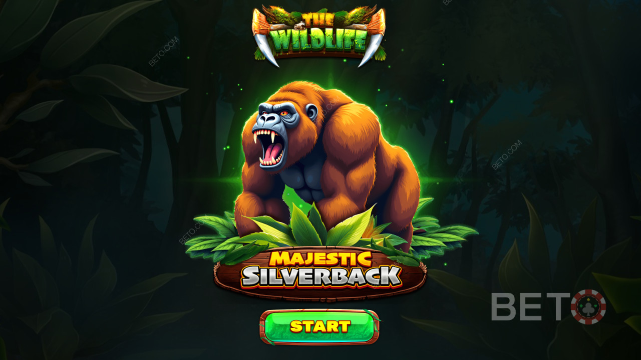 Majestic Silverbacki boonusfunktsioonid, mida selgitab Majestic Silverback Spinomenal