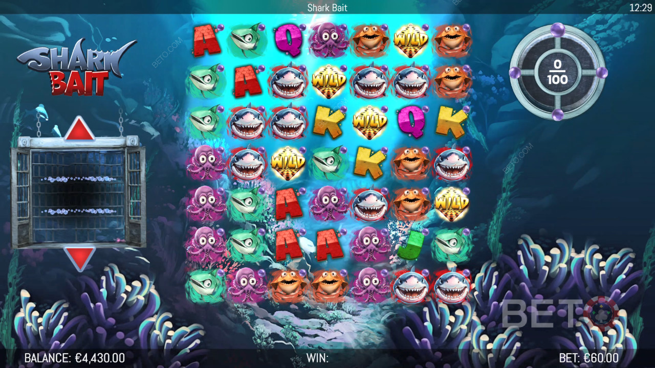 Boonusfunktsioonid, mida seletab Hungry Bear Shark Bait