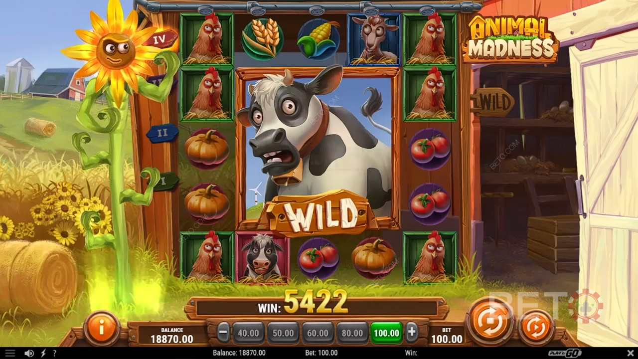Animal Madness Review by BETO Slots