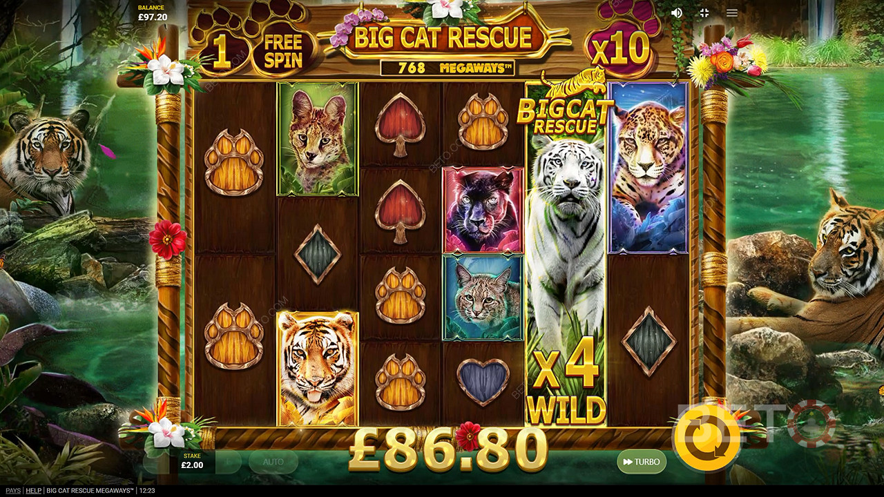 Big Cat Rescue Megaways Mängi Tasuta