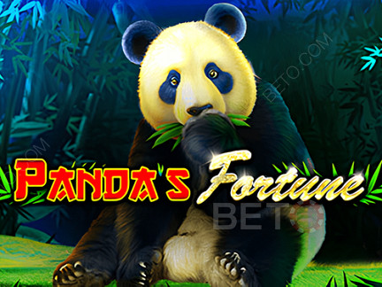 Czech: Panda's Fortune  Demo