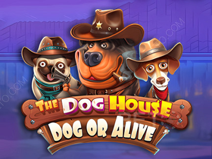 Czech: The Dog House - Dog or Alive Demo