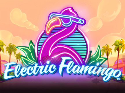 Czech: Electric Flamingo Demo